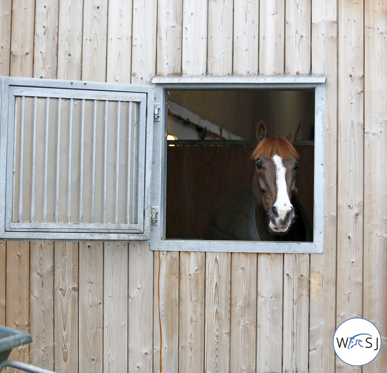 Photo (c) Tiffany Van Halle for World of Showjumping