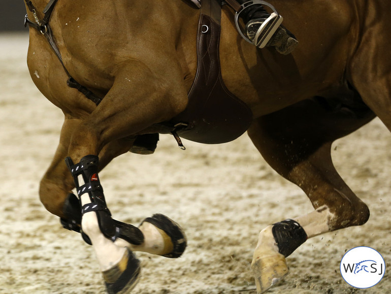 The European Equestrian Federation mobilises against non-performance ...