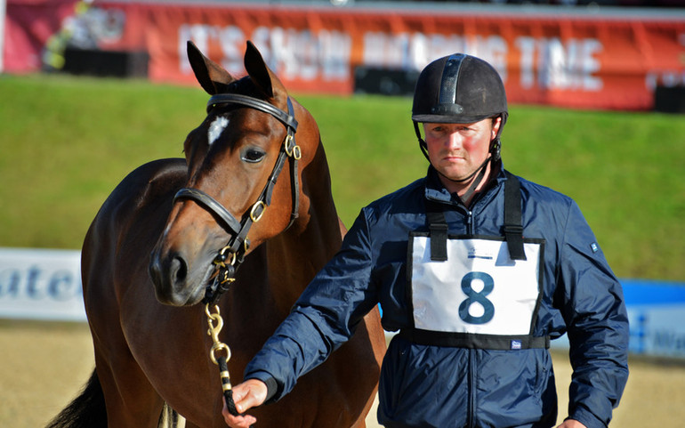 Taking centre-stage on the evening of day three at Bolesworth - Friday, June 16 - significant lots will be presented and are certain to attract major interest, especially with many of the youngstock being related to well-known top International performers within the sport.