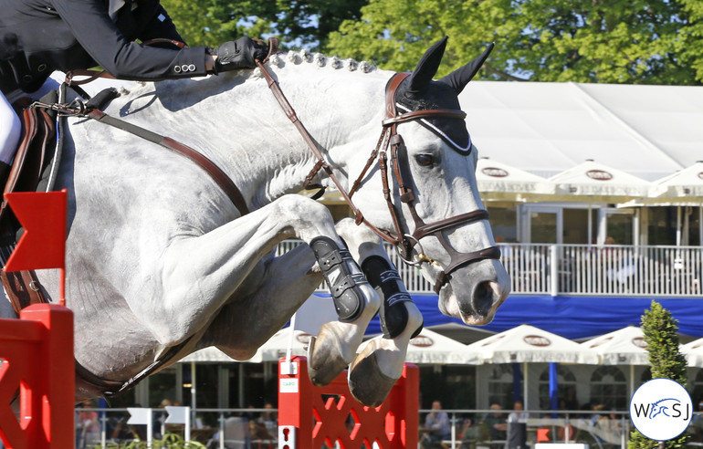 Photo © Jenny Abrahamsson for World of Showjumping. 