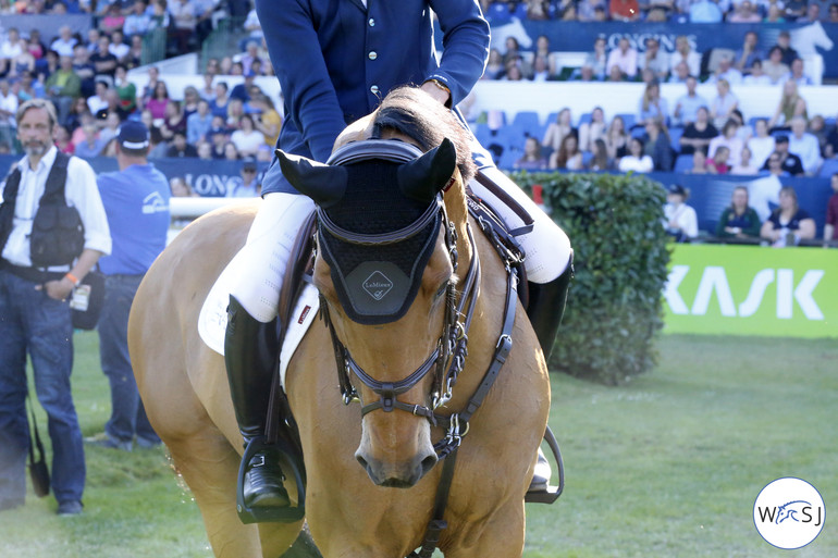 Photo © Jenny Abrahamsson for World of Showjumping. 