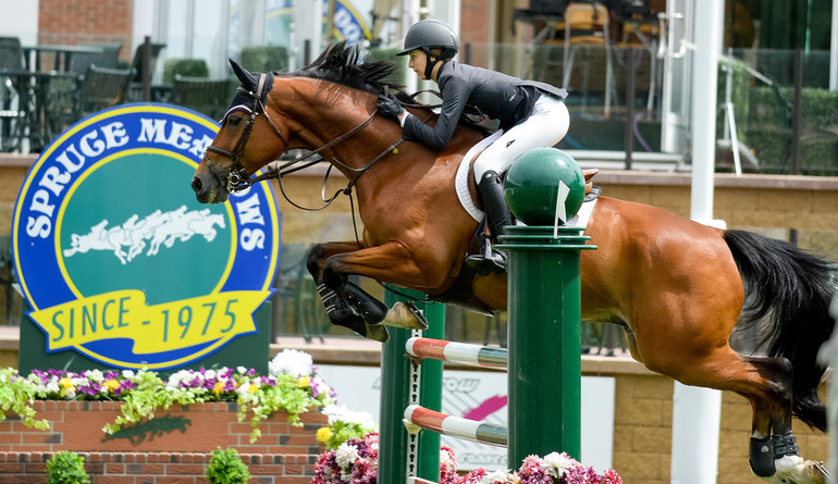 Photo (c) Spruce Meadows. 