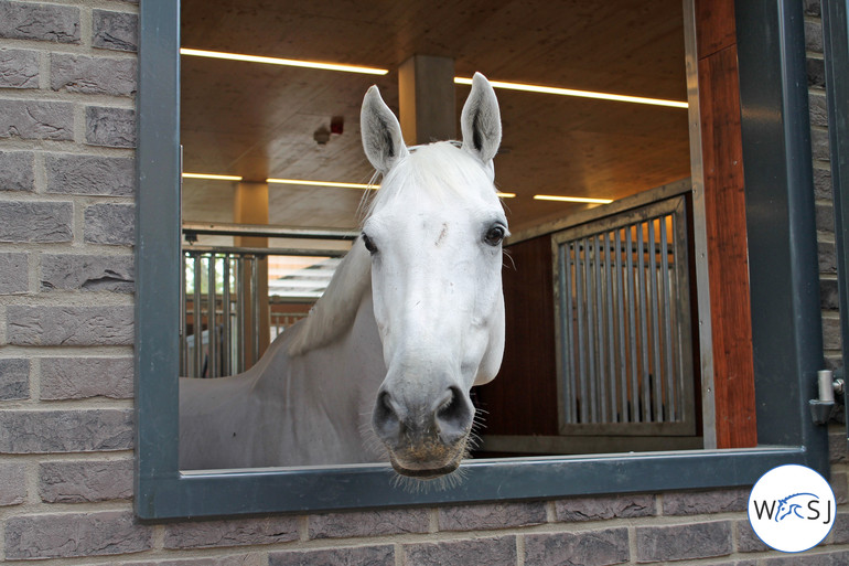 Photo © Nanna Nieminen for World of Showjumping. 