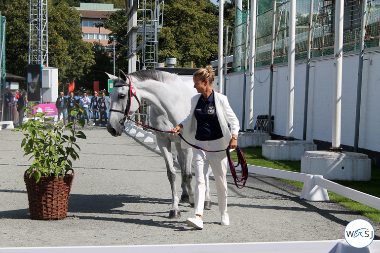 Photo (c) World of Showjumping