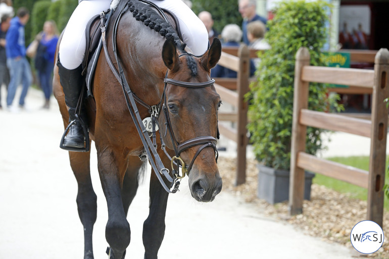 Photo © Jenny Abrahamsson for World of Showjumping. 