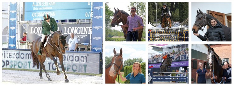 Photos (c) World of Showjumping