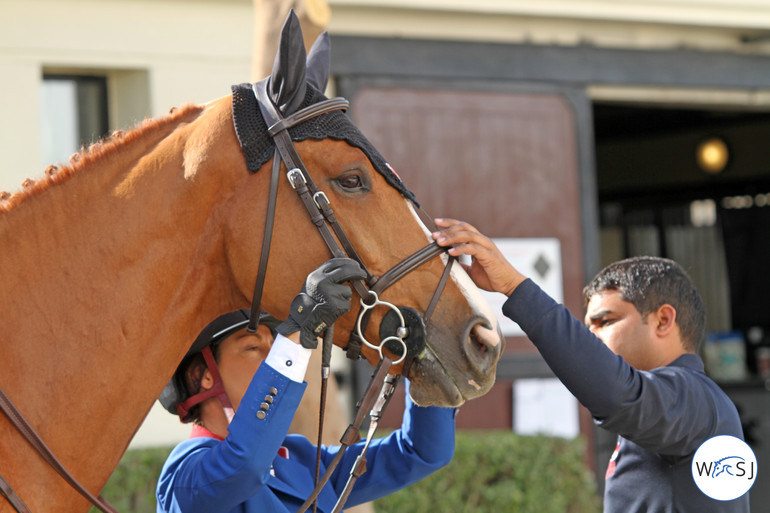 Photo (c) Nanna Nieminen for World of Showjumping. 