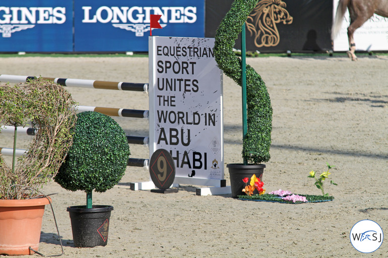 Photo (c) Nanna Nieminen for World of Showjumping. 