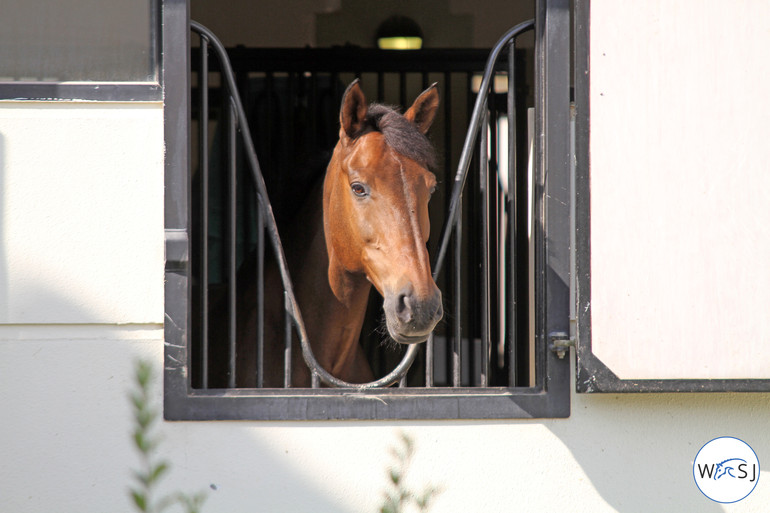 Photo (c) Nanna Nieminen for World of Showjumping. 