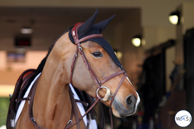 Photo (c) Nanna Nieminen for World of Showjumping. 