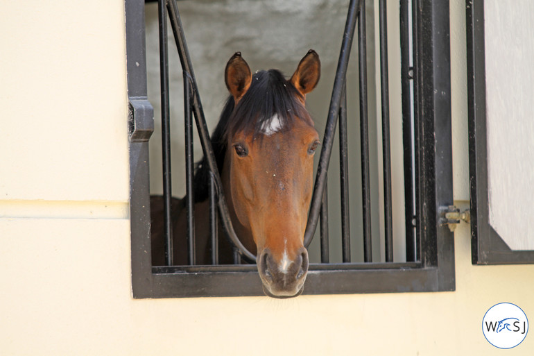 Photo (c) Nanna Nieminen for World of Showjumping. 