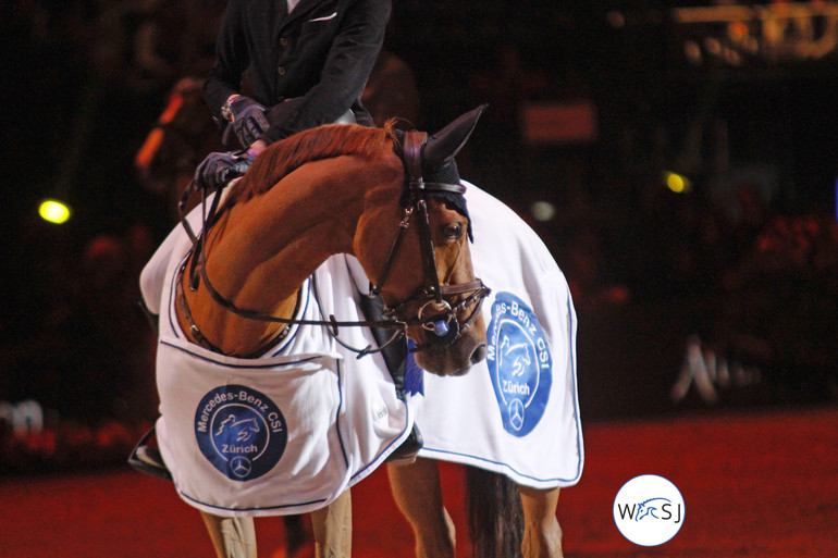 (c) World of Showjumping