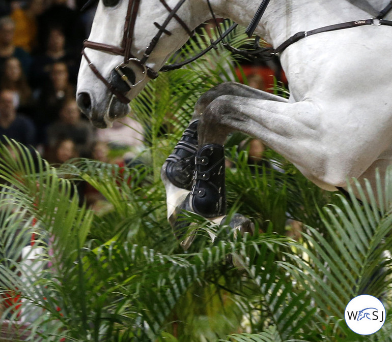 Photo © Jenny Abrahamsson for World of Showjumping. 