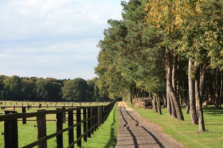 Lenhsen Stable