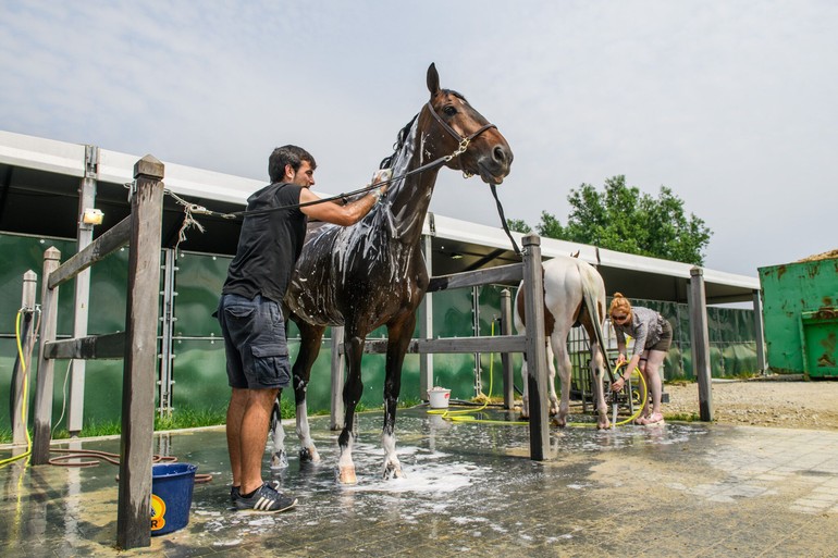 Photo (c) Jeroen Willems/Knokke Hippique