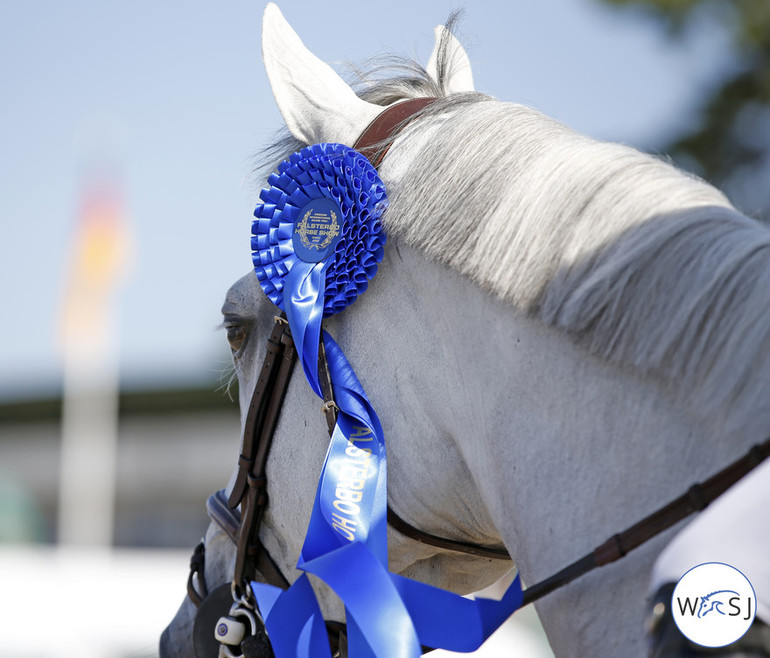 Photo © Jenny Abrahamsson for World of Showjumping. 