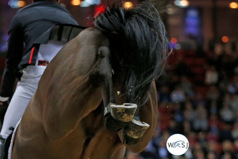 Photo © Jenny Abrahamsson for World of Showjumping