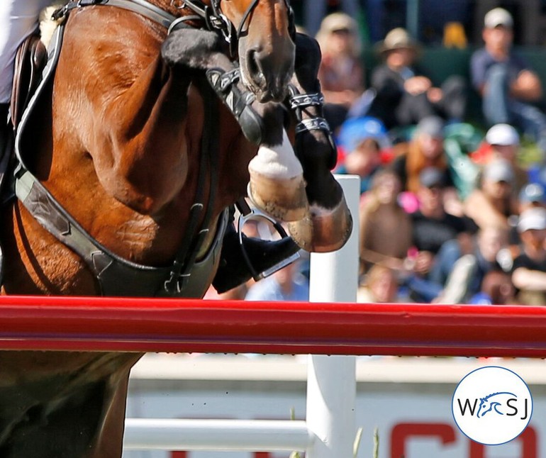 Photo © World of Showjumping by Jenny Abrahamsson