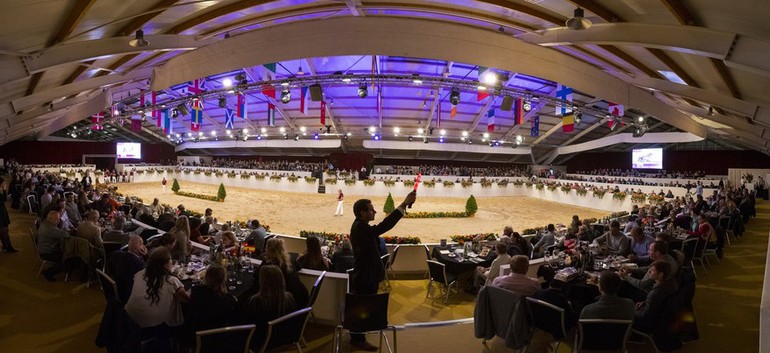 Photo (c) Limburg Foal Auction