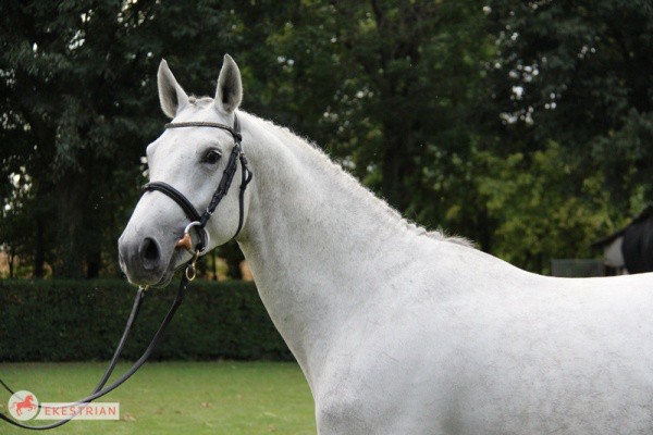 CORNET OBOLENSKY X QUIDAM DE REVEL