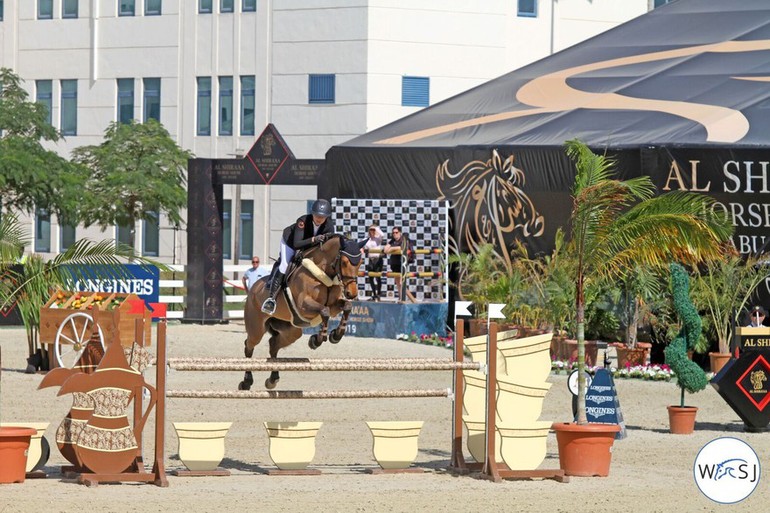 (c) World of Showjumping