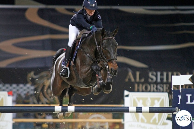 (c) World of Showjumping