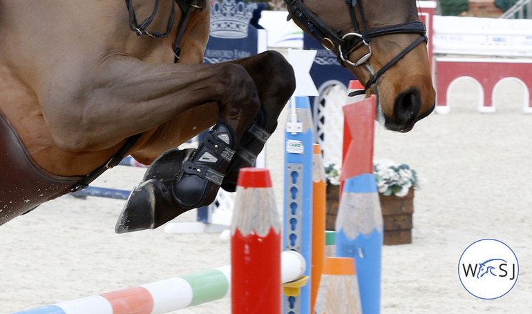 Photo © World of Showjumping by Jenny Abrahamsson