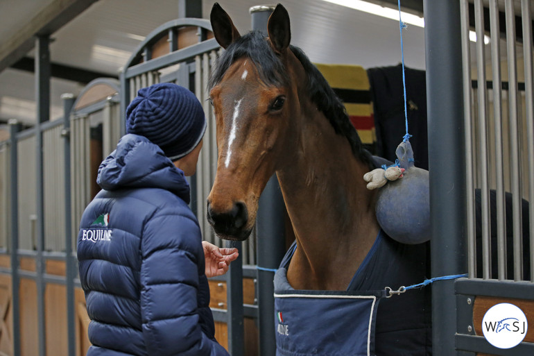 Photo © World of Showjumping by Jenny Abrahamsson