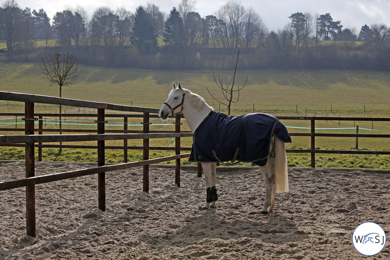 Photo © World of Showjumping by Jenny Abrahamsson