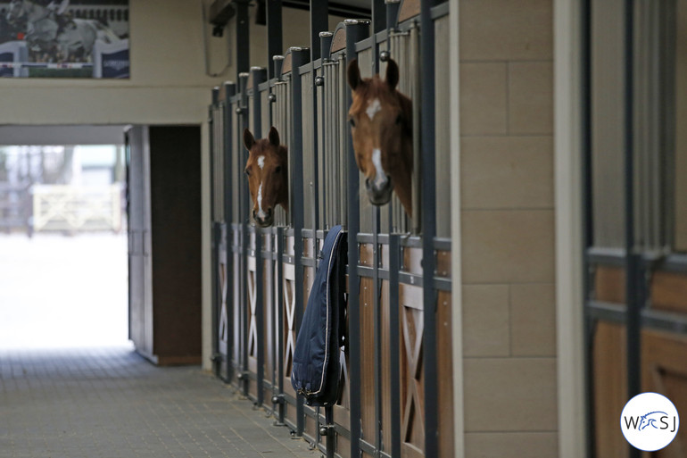 Photo © World of Showjumping by Jenny Abrahamsson