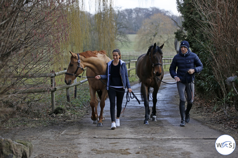 Photo © World of Showjumping by Jenny Abrahamsson