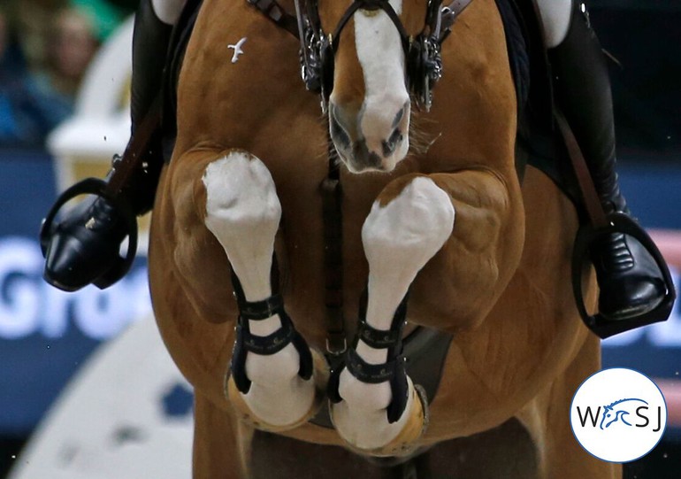 Photo © Jenny Abrahamsson for World of Showjumping.