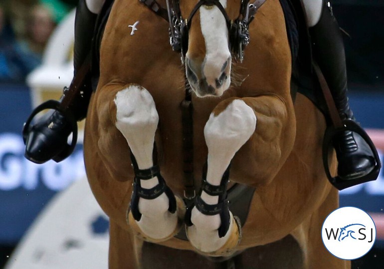 Photo © Jenny Abrahamsson for World of Showjumping.