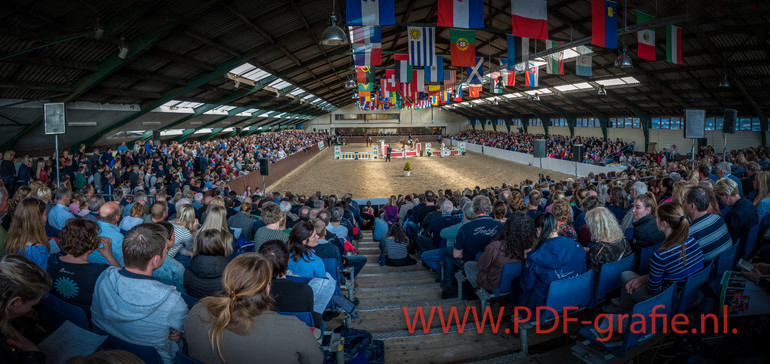 VDL Stallion Show