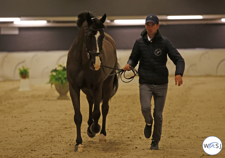 Photo (c) World of Showjumping by Jenny Abrahamsson. 