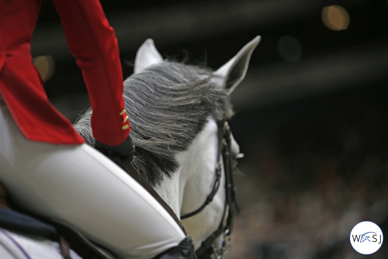 Photo © Jenny Abrahamsson for World of Showjumping