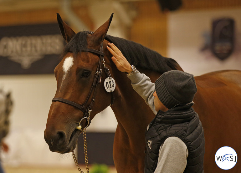 Photo © World of Showjumping by Jenny Abrahamsson