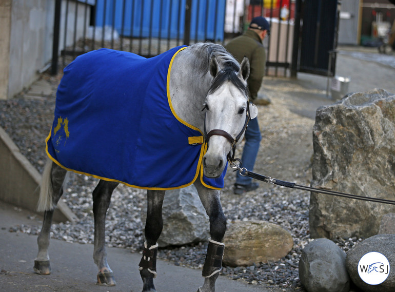 Photo (c) World of Showjumping by Jenny Abrahamsson. 