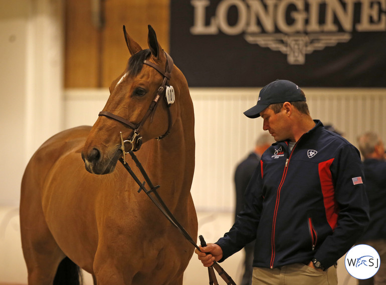 Photo © World of Showjumping by Jenny Abrahamsson