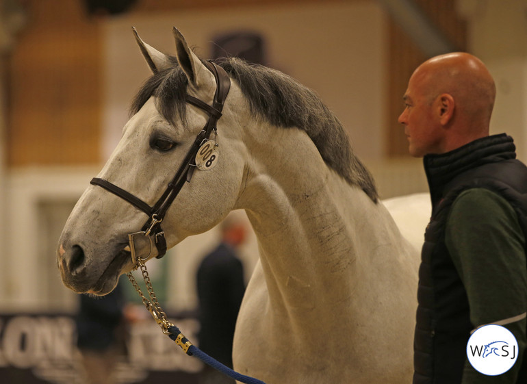 Photo © World of Showjumping by Jenny Abrahamsson