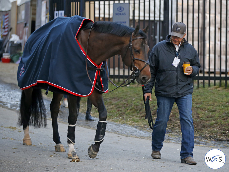 Photo © World of Showjumping by Jenny Abrahamsson