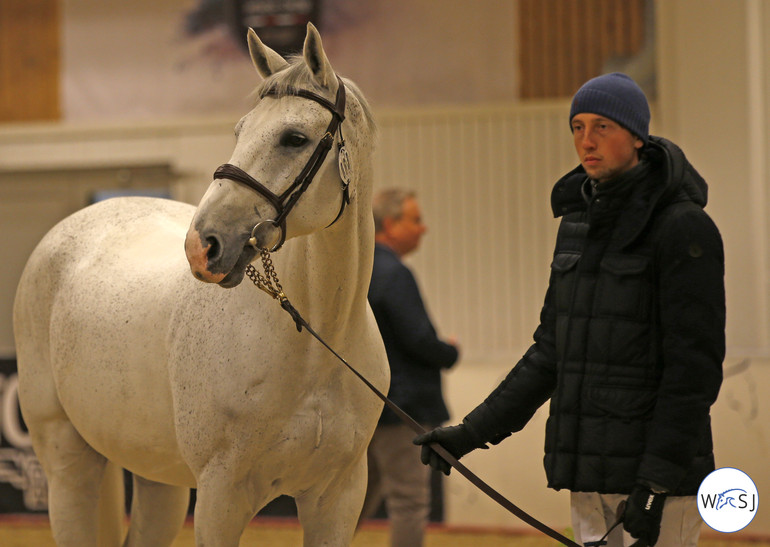 Photo © World of Showjumping by Jenny Abrahamsson