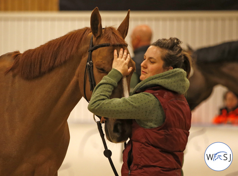 Photo © World of Showjumping by Jenny Abrahamsson