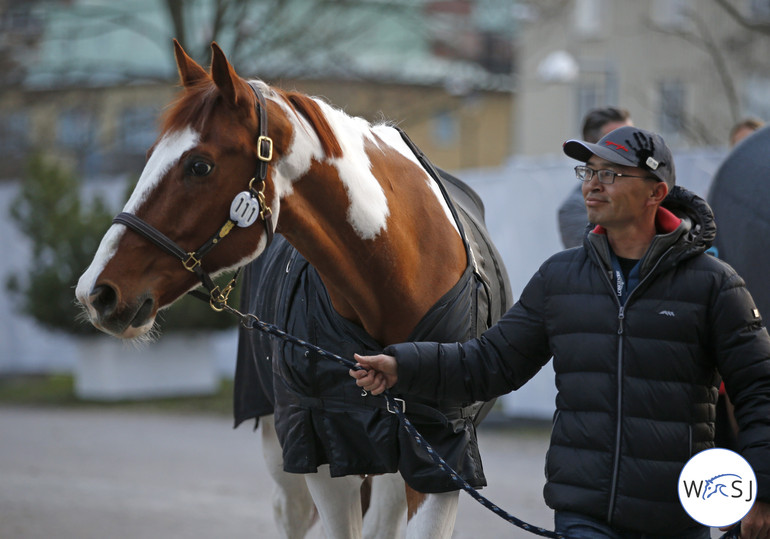 Photo © World of Showjumping by Jenny Abrahamsson