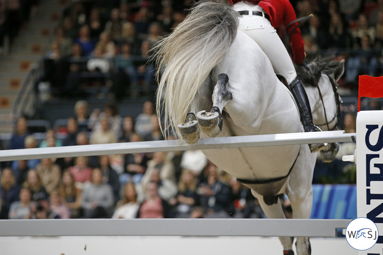 Photo (c) World of Showjumping by Jenny Abrahamsson. 