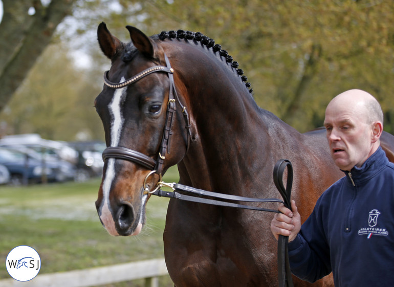 Photo (c) Jenny Abrahamsson/World of Showjumping. 