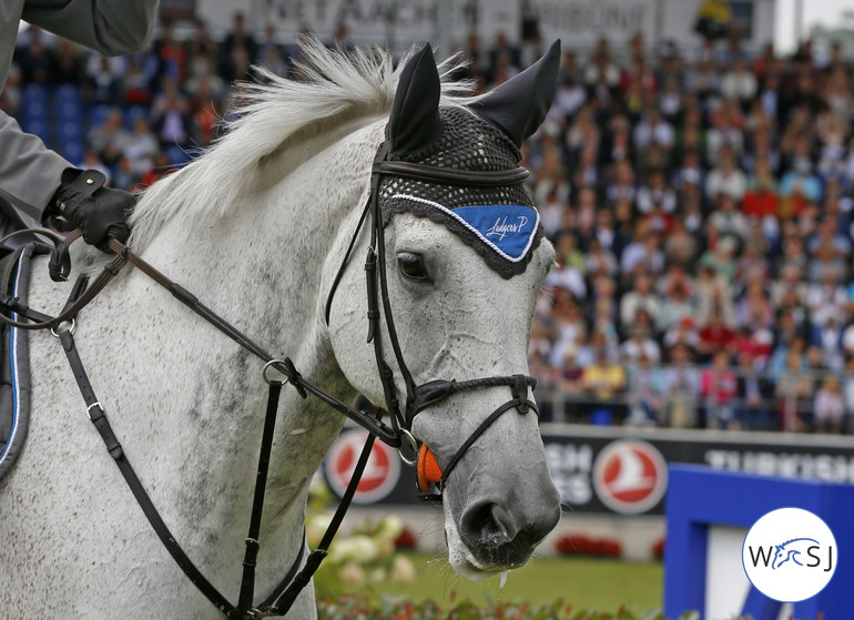 Photo (c) Jenny Abrahamsson for World of Showjumping. 