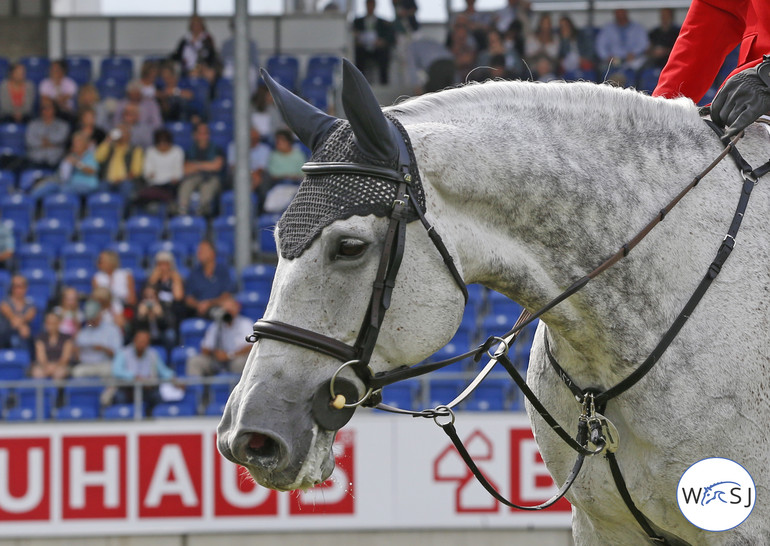 Photo (c) Jenny Abrahamsson for World of Showjumping. 