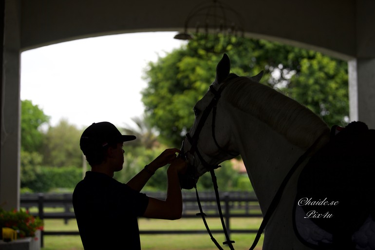 Photo © Haide Westring for World of Showjumping