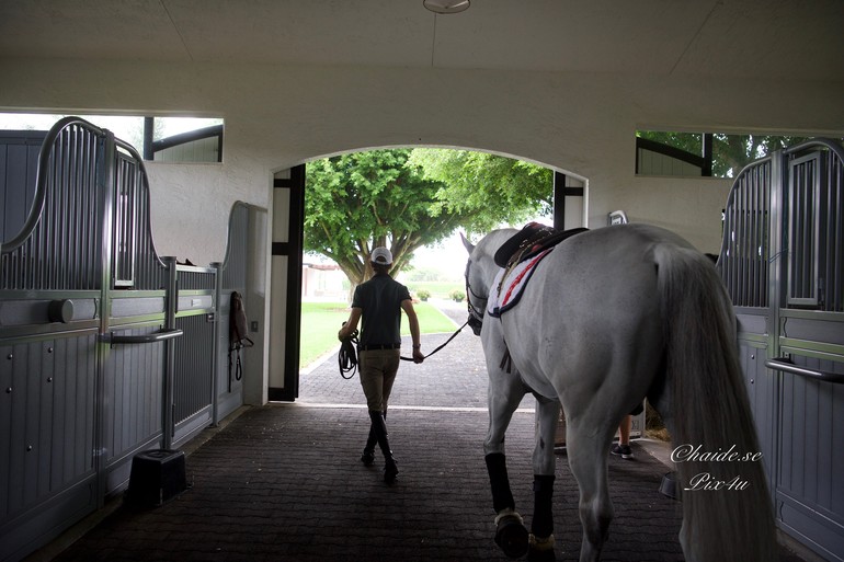 Photo © Haide Westring for World of Showjumping